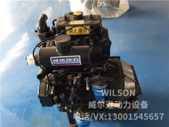 濰坊兩缸2110G帶離合器柴油機